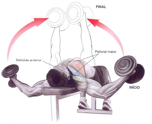 Exercício peitorais 1