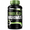 Tribulus Maximus 1500mg 90 tabs Tomar Biotech Nutrition