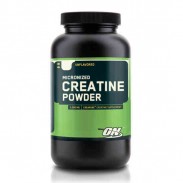 Creatine Micronized Powder 317g Optimum Nutrition