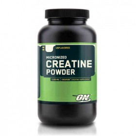 Creatine Micronized Powder 317g Optimum Nutrition