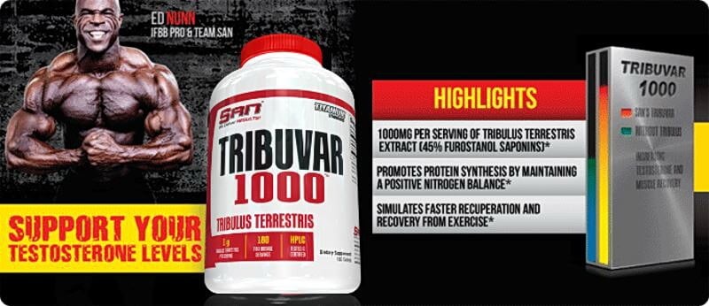 san-tribuvar-1000-mais-testosterona-suplementos-corposflex-promo-banner