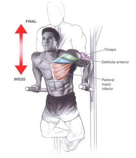 Flexão braços barras paralelas