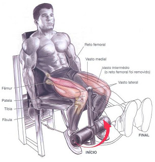 extensao de pernas
