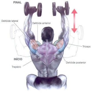 shoulder press ombros