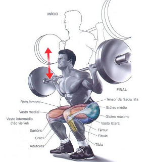 agachamento com pesos