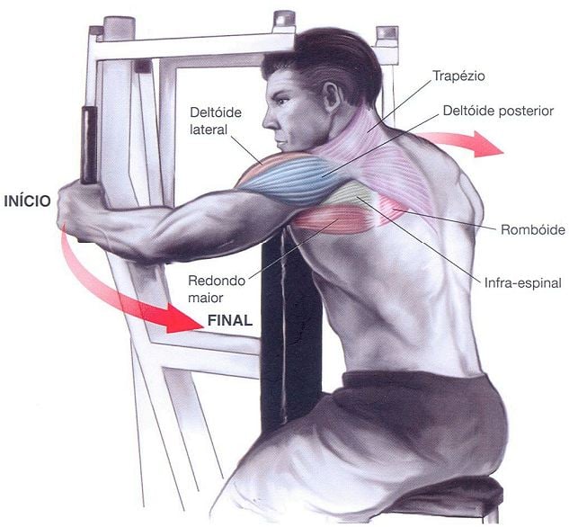 O que é deltoide na musculação?