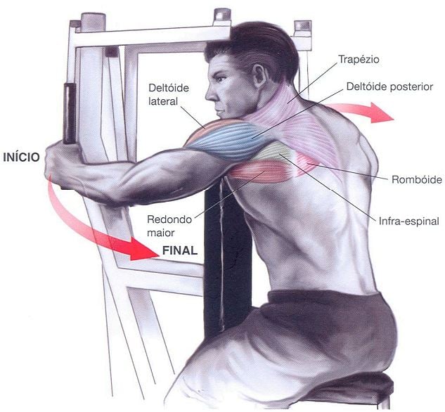 exercício poderoso para deltoide