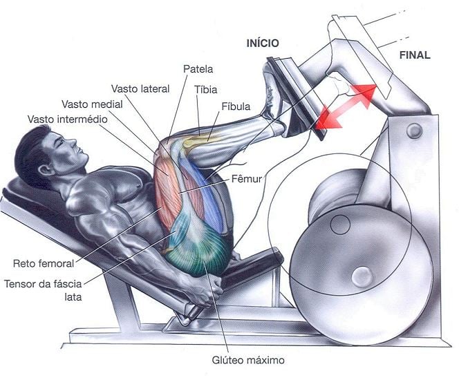 Coxas: Leg Press Exercício para Tonificar