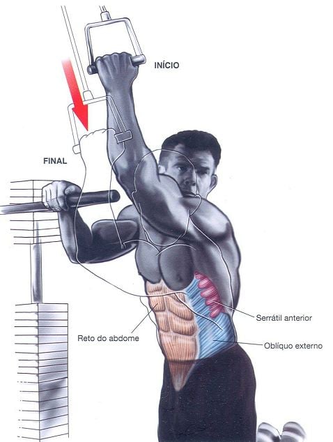 desenvolver abdominais