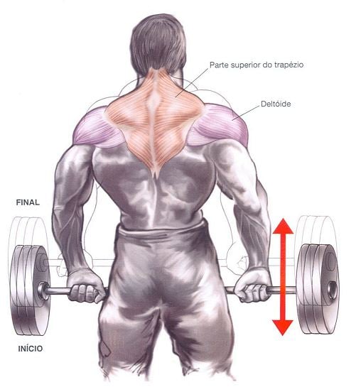 Trapézio: Como Treinar Trabalhar Eficazmente