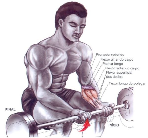 antebraços-exercicio