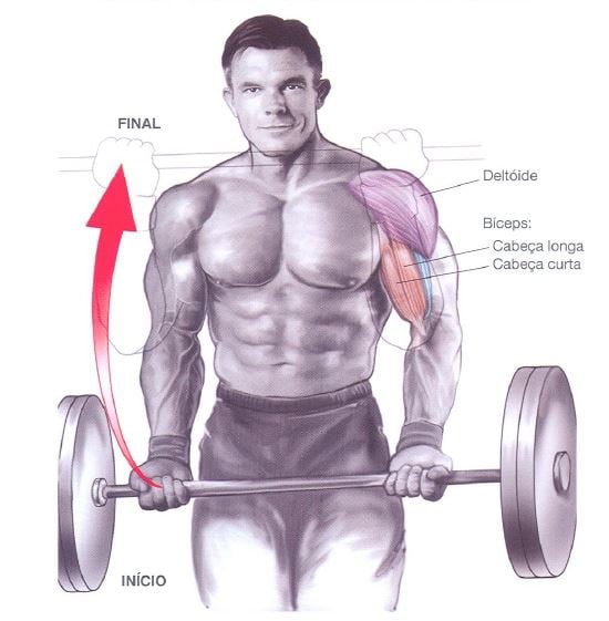 Força e massa muscular nos biceps