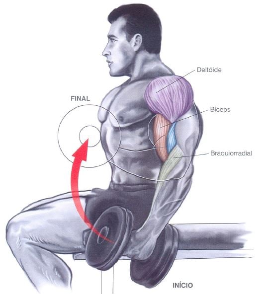 Biceps como aumentar braços