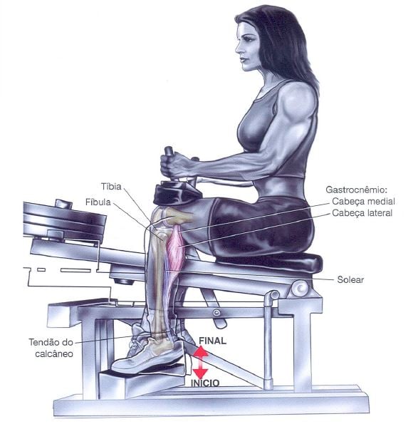 Gêmeos: Como Treinar para Ganhar Massa Muscular