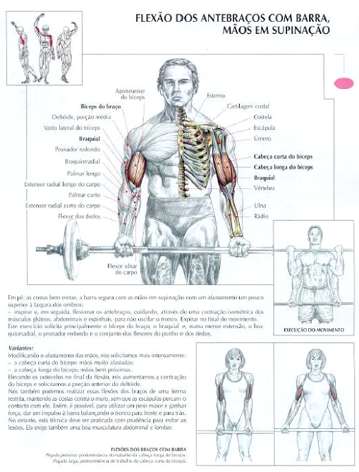 dicas para malhar aumentar biceps