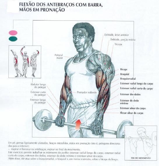 Antebraços Como treinar engrossar e aumentar