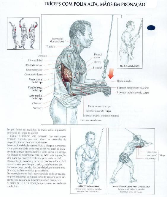 Triceps melhor exercício para treinar