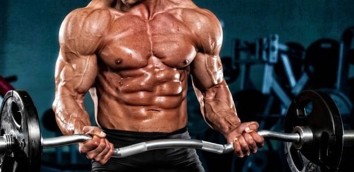 Biceps Grandes Como Ter com Melhores Exercícios