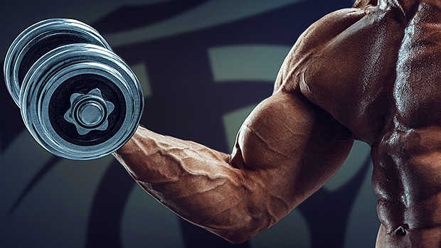 como-ter-biceps