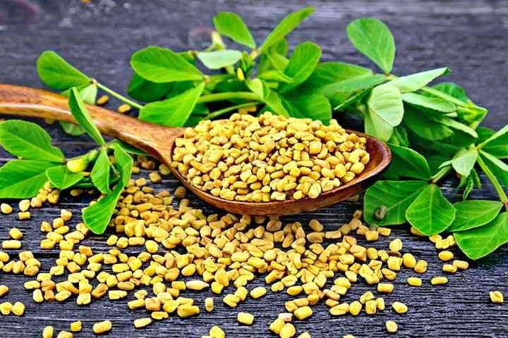 fenugreek