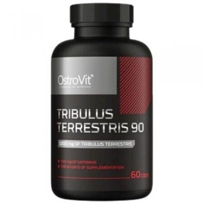 Tribulus Terrestris 90 60 caps Ostrovit