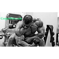 Bodybuilding Supplements