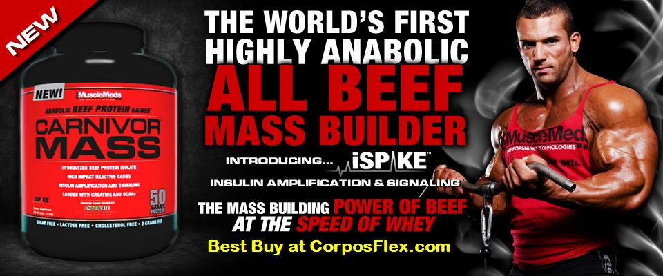 carnivor-mass-musclemeds-banner