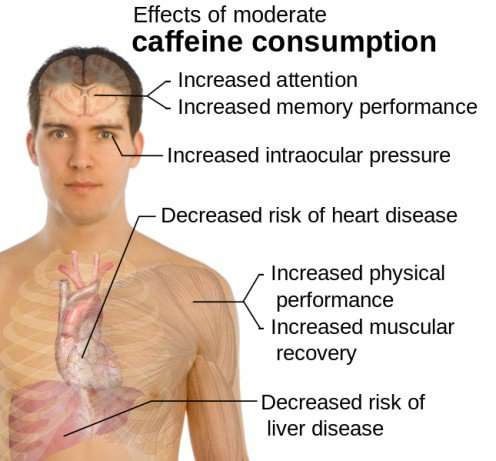san-cafeina-beneficios-efeitos-suplemento-comprar-corposflex