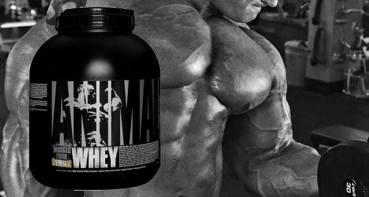 animal-whey-universal-nutrition-promo-banner-corposflex-suplementos-online