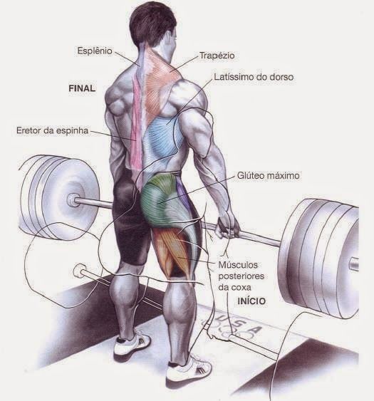 levantamento-terra-deadlift-hipertrofia-muscular-musculacao-corposflex