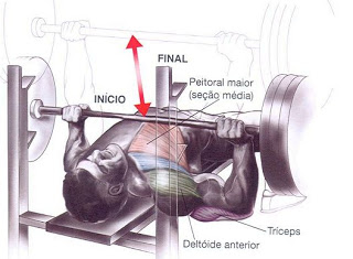 supino-bench-press-hipertrofia-muscular-corposflex