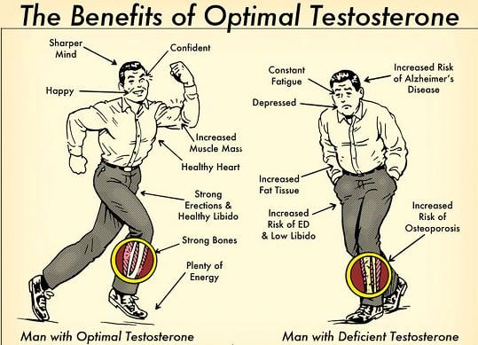pack-testosterol-250-biosterol-beneficios-anabolicos-testosterona